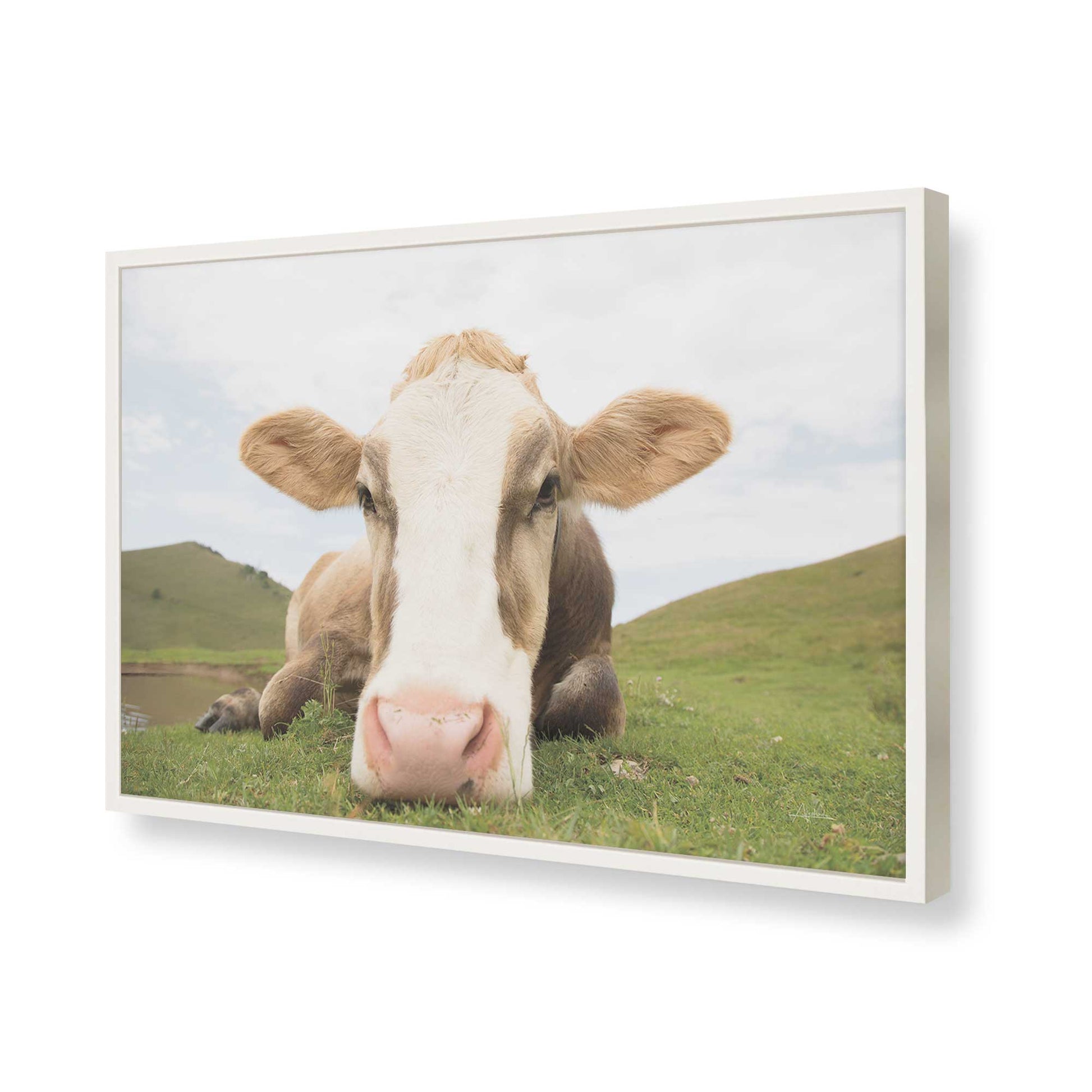 [Color:Opaque White], Picture of art in a Opaque White frame of the corner