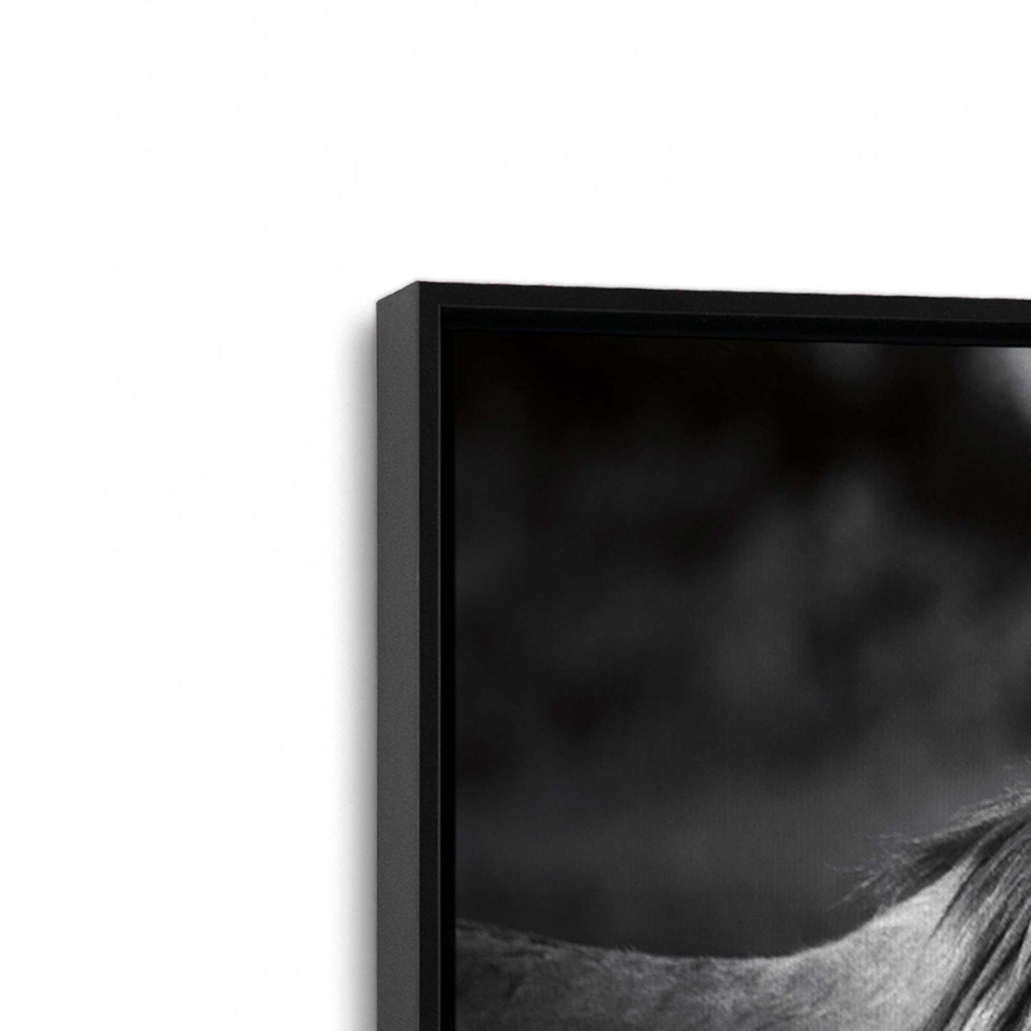 [Color:Satin Black], Picture of art in a Satin Black frame at an angle