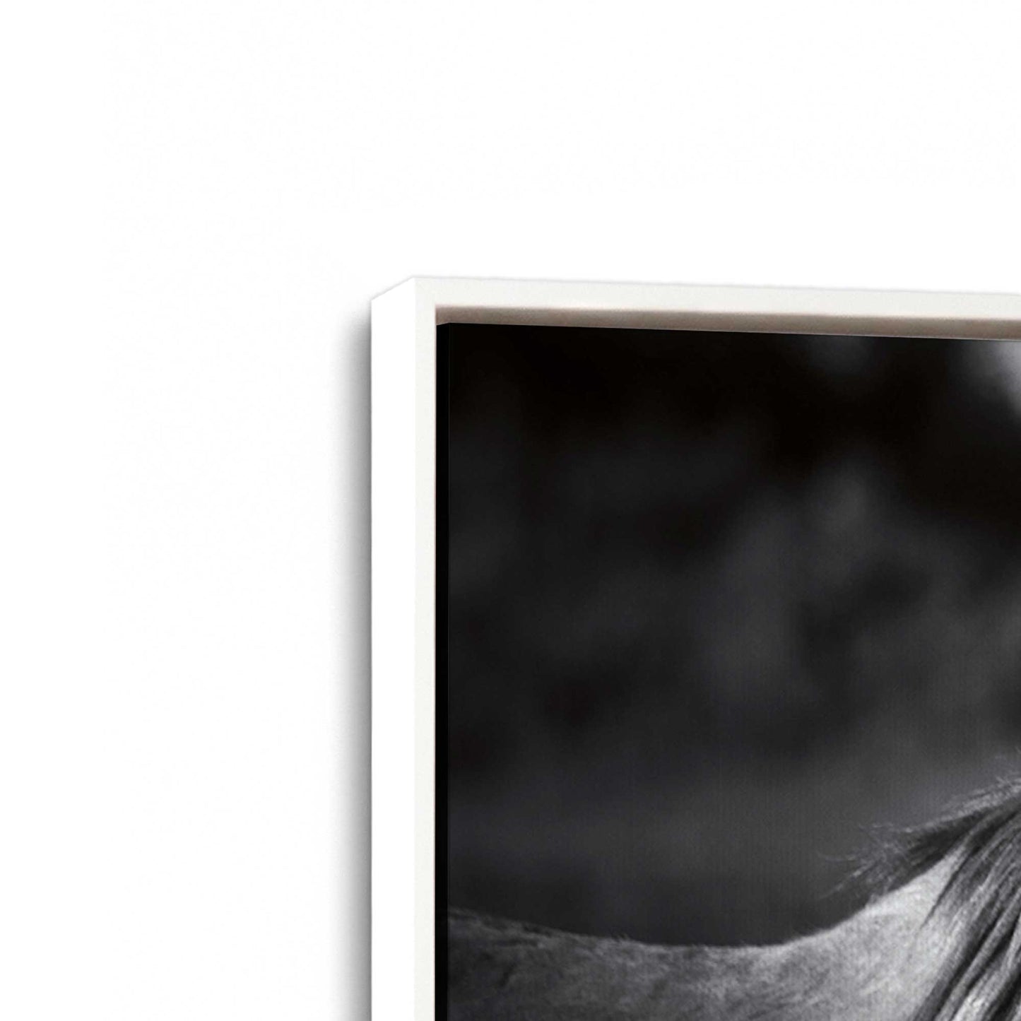 [Color:Opaque White], Picture of art in a White frame at an angle