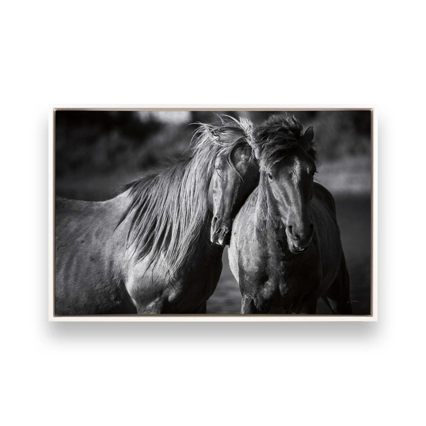 [Color:Opaque White], Picture of art in a White frame