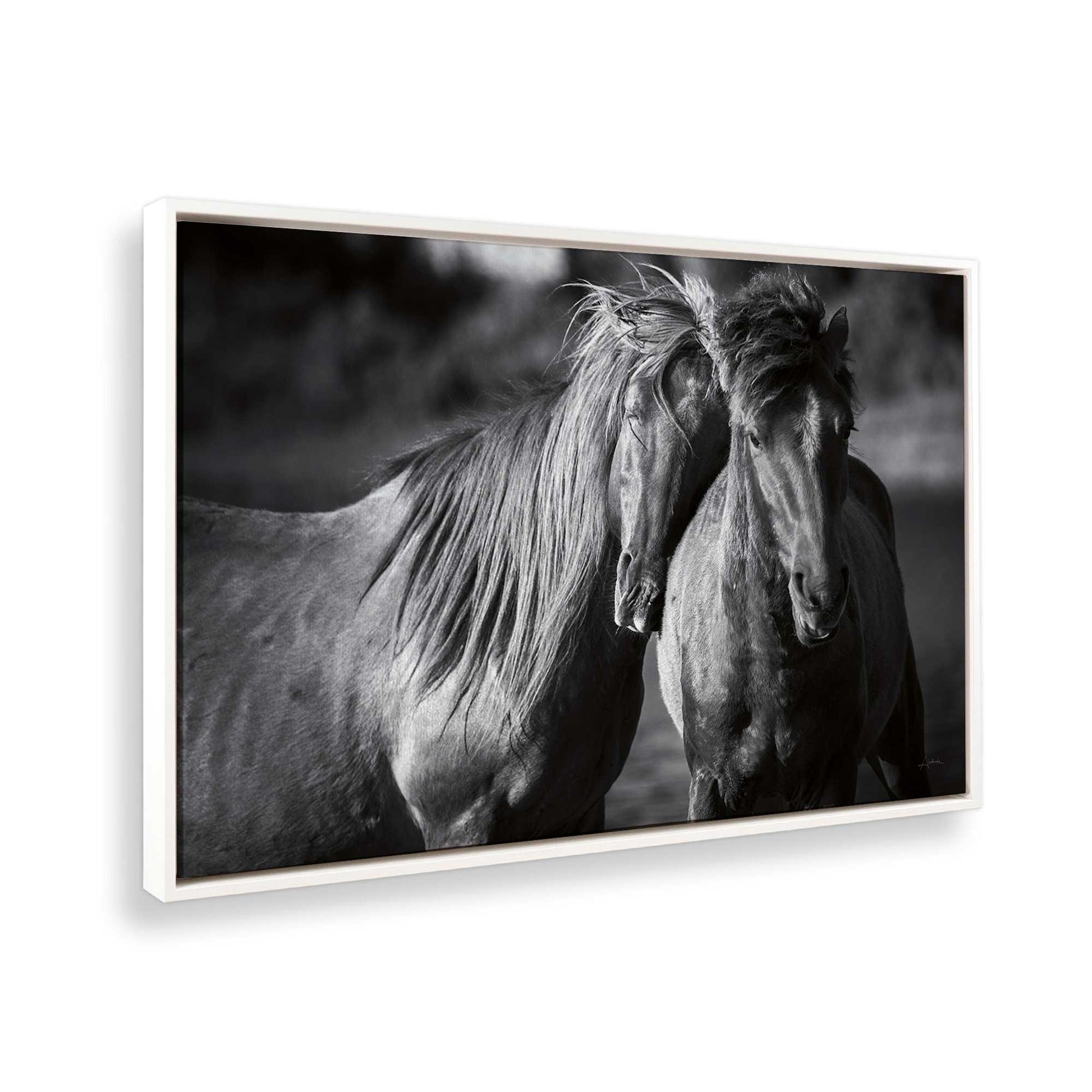 [Color:Opaque White], Picture of the corner of the art