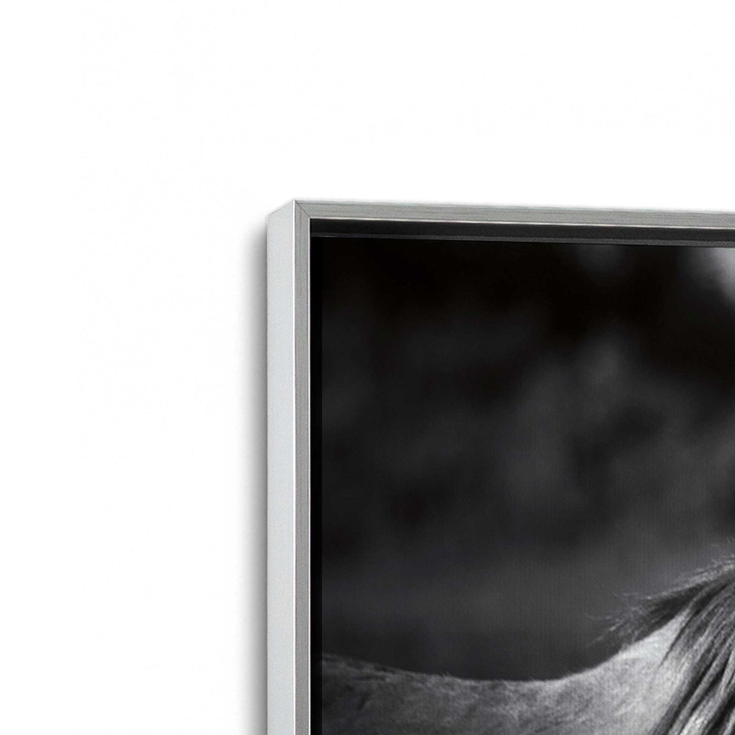 [Color:Polished Chrome], Picture of art in a Polished Chrome frame at an angle