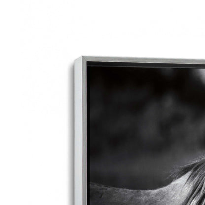 [Color:Polished Chrome], Picture of art in a Polished Chrome frame at an angle