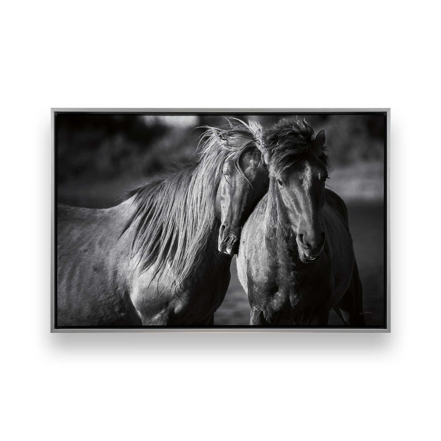 [Color:Polished Chrome], Picture of art in a Polished Chrome frame