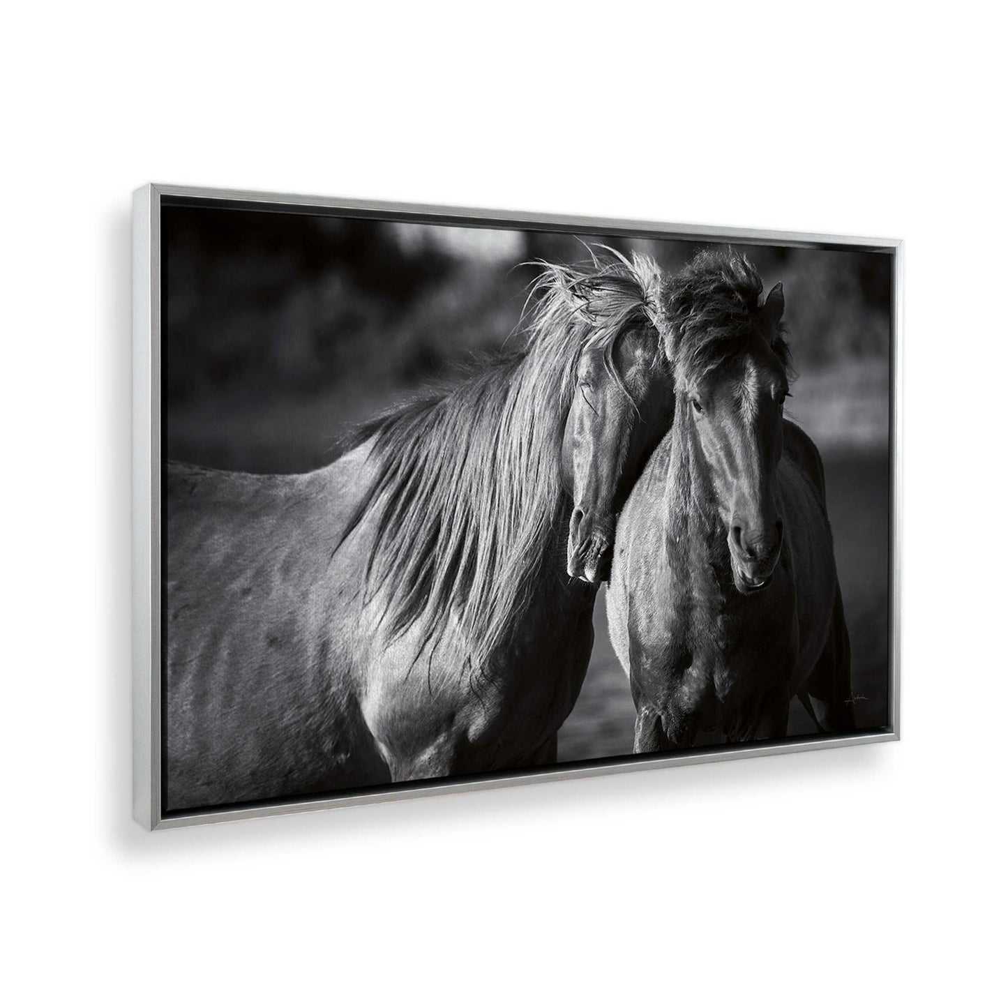 [Color:Polished Chrome], Picture of the corner of the art