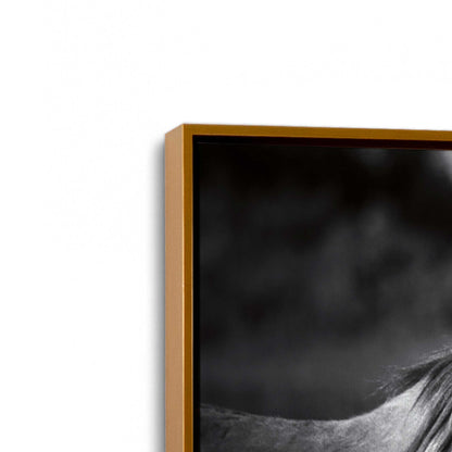[Color:Polished Gold], Picture of art in a Polished Gold frame at an angle