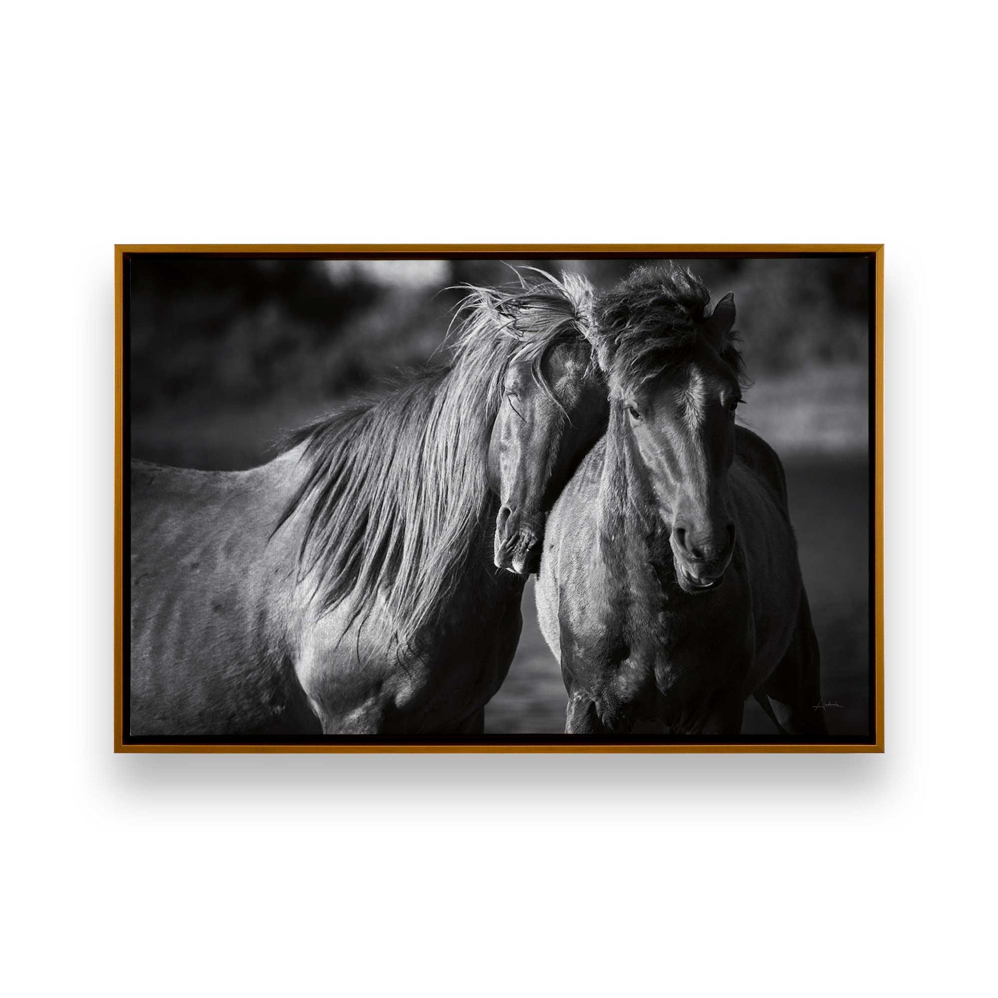 [Color:Polished Gold], Picture of art in a Polished Gold frame