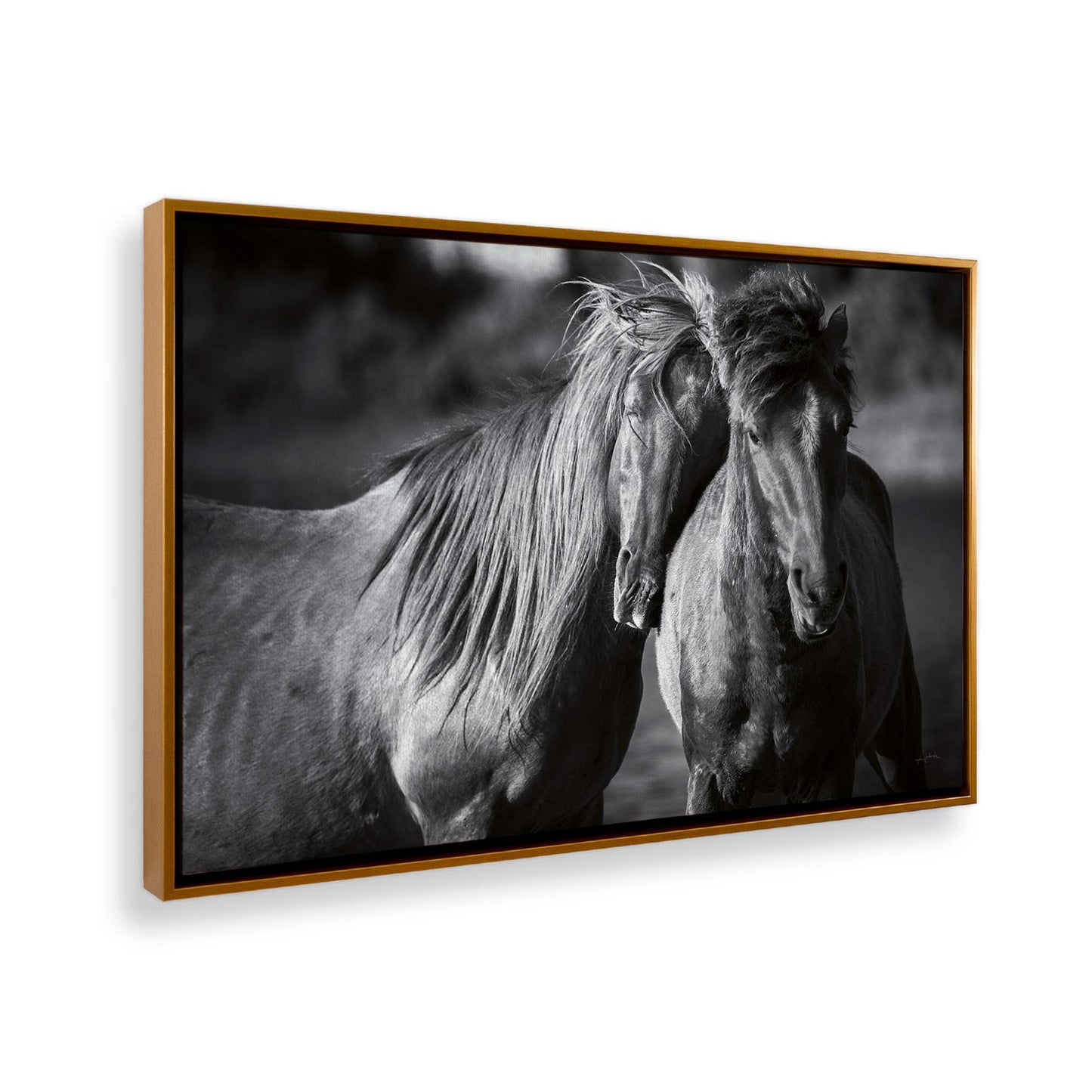 [Color:Polished Gold], Picture of the corner of the art