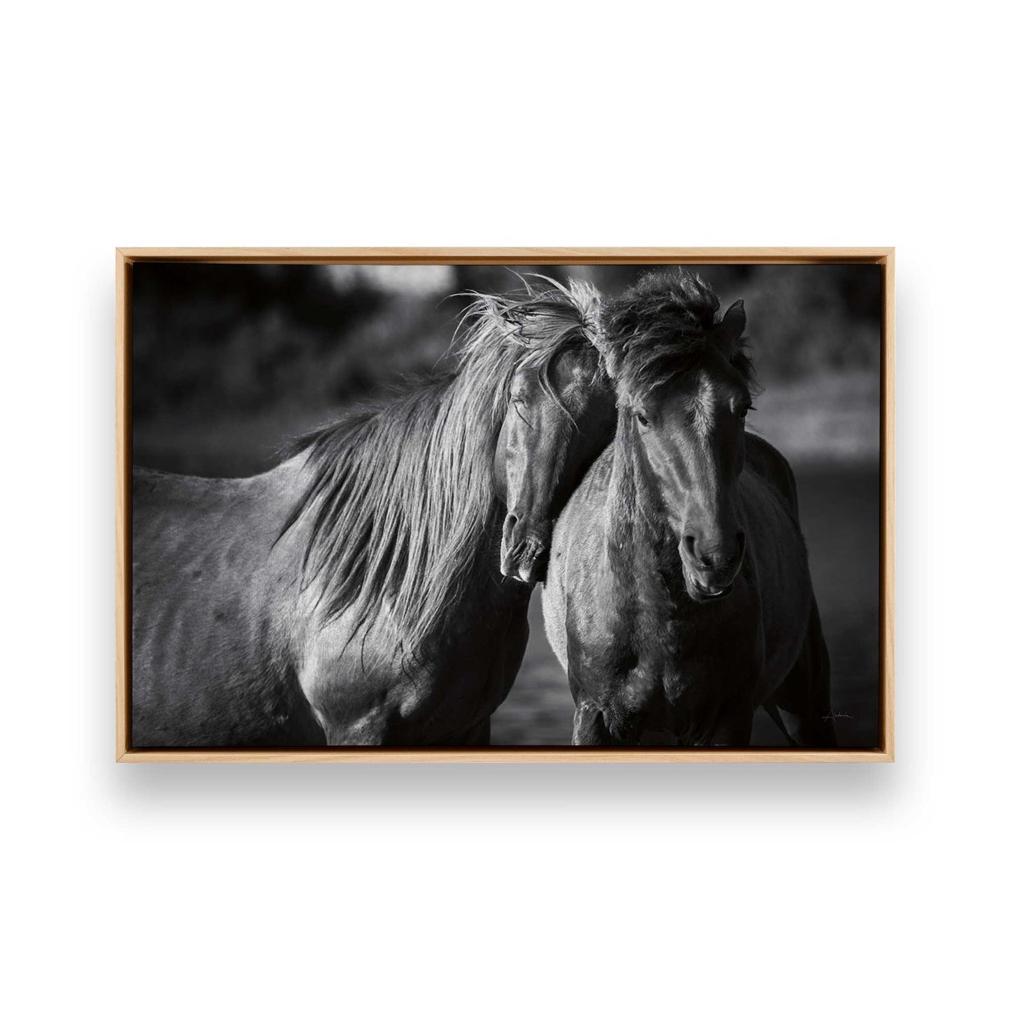 [Color:American Maple], Picture of art in a American Maple frame