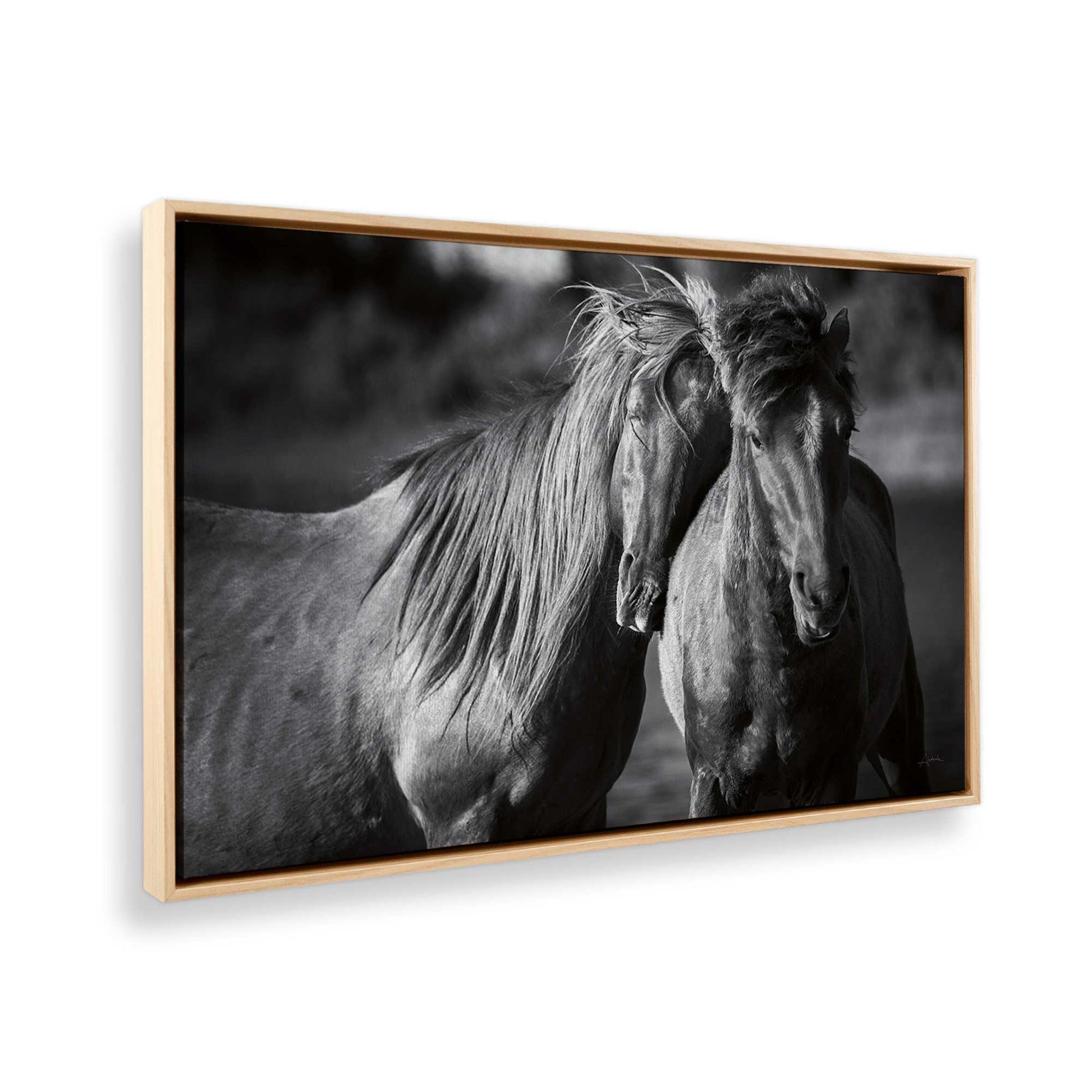 [Color:American Maple], Picture of the corner of the art