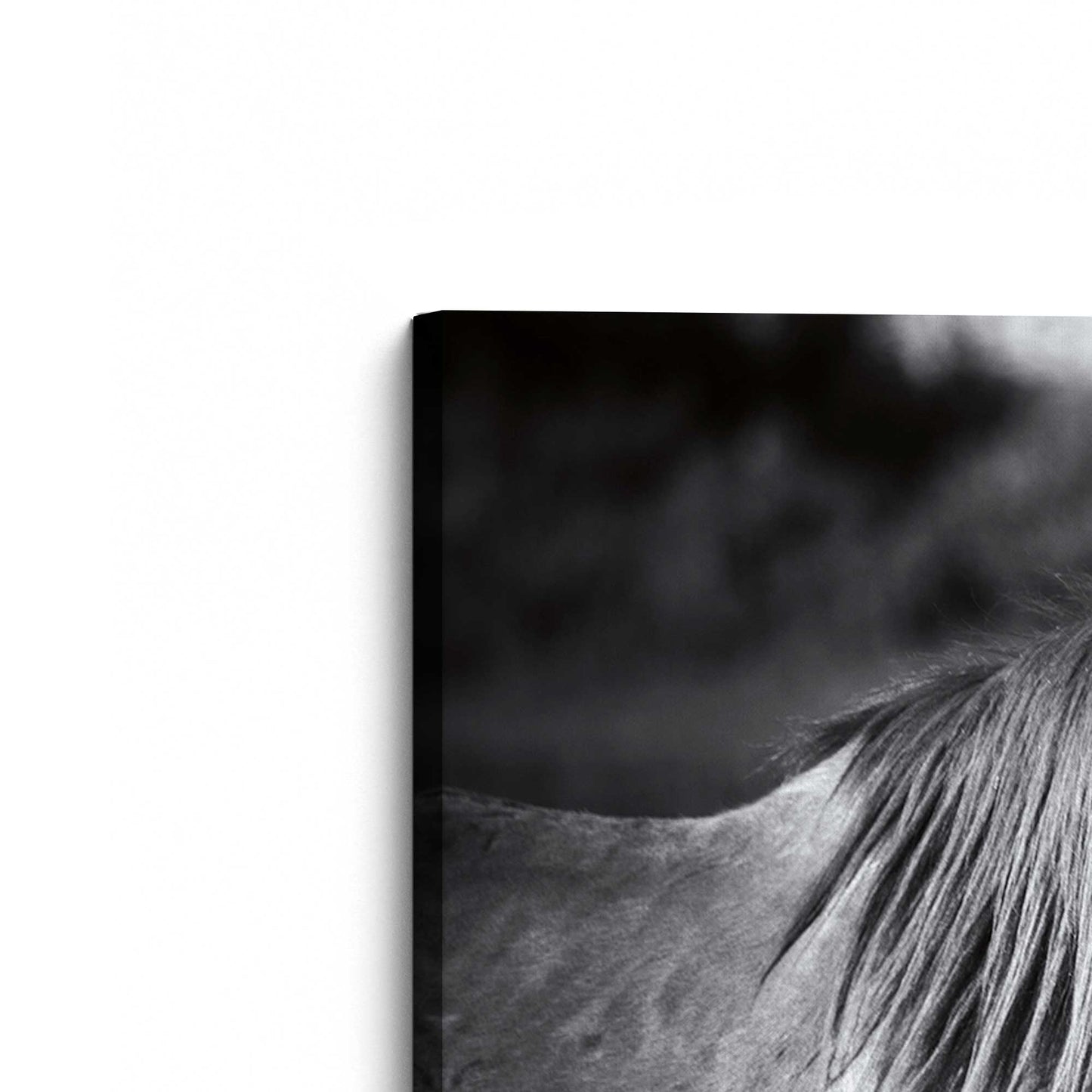 [Color:Stretched Canvas], Picture of the corner of the art