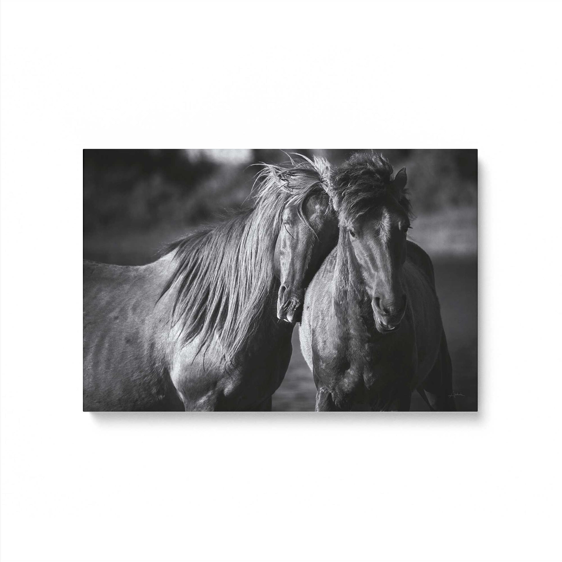 [Color:Stretched Canvas], Picture of art