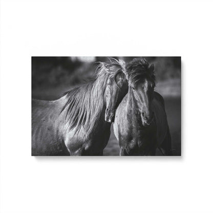 [Color:Stretched Canvas], Picture of art