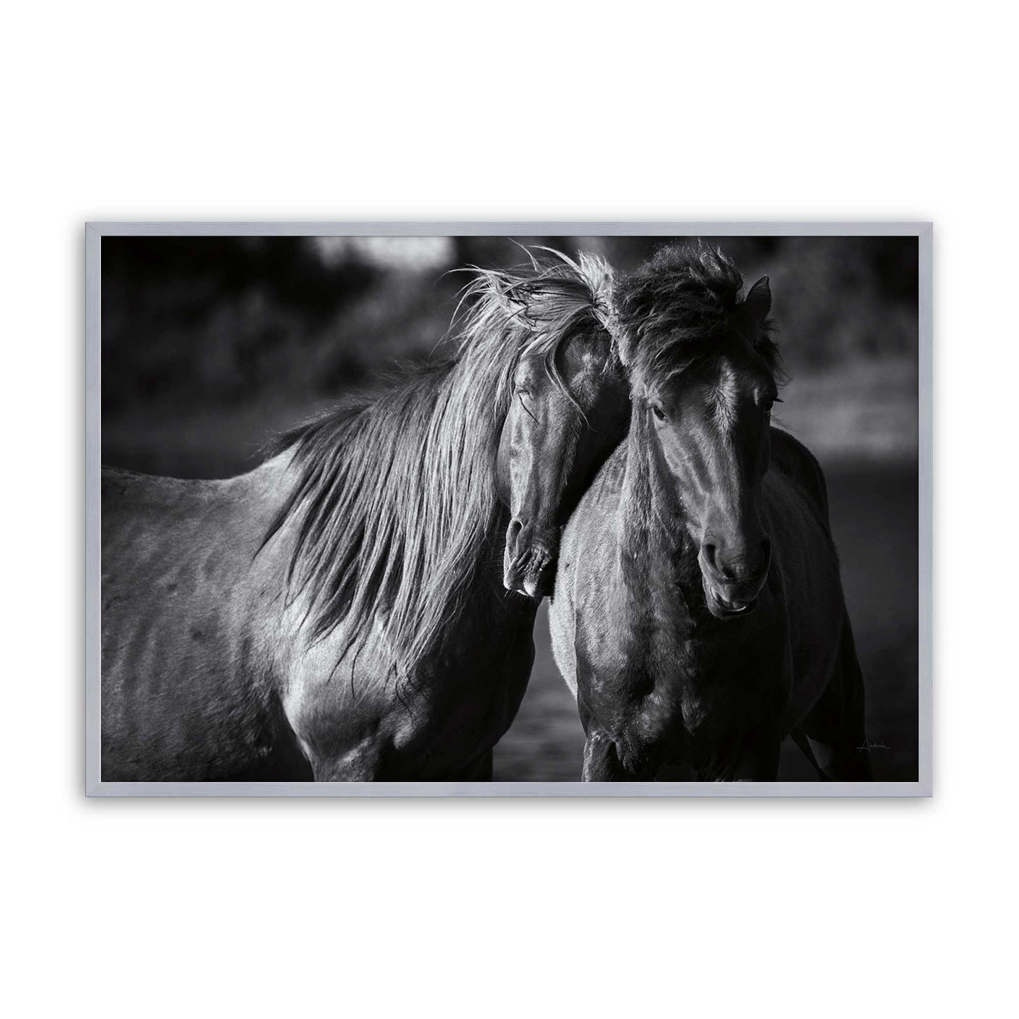 [Color:Polished Chrome], Picture of art in a Polished Chrome frame