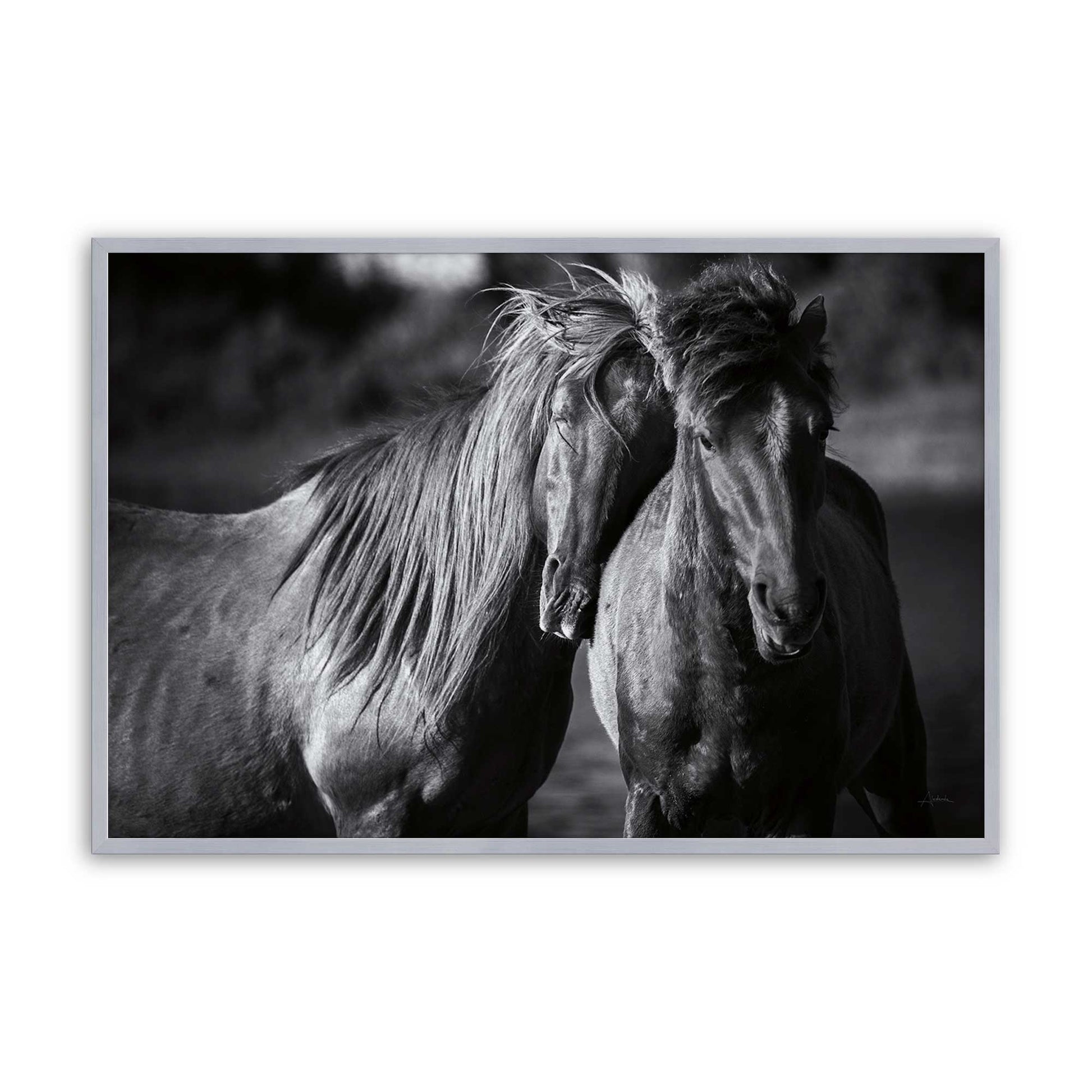 [Color:Polished Chrome], Picture of art in a Polished Chrome frame