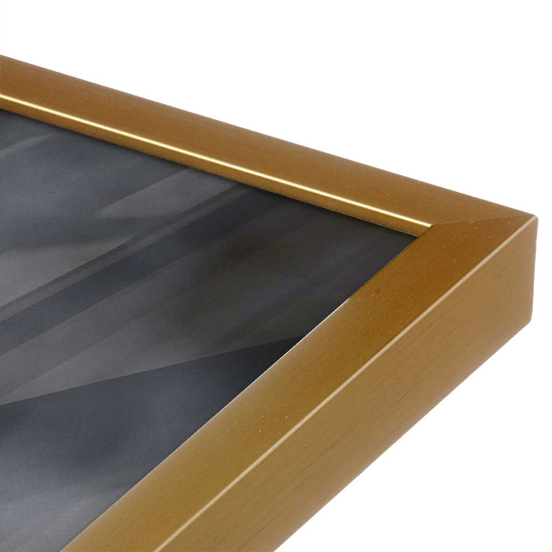 [Color:Polished Gold], Picture of art in a Polished Gold frame at an angle