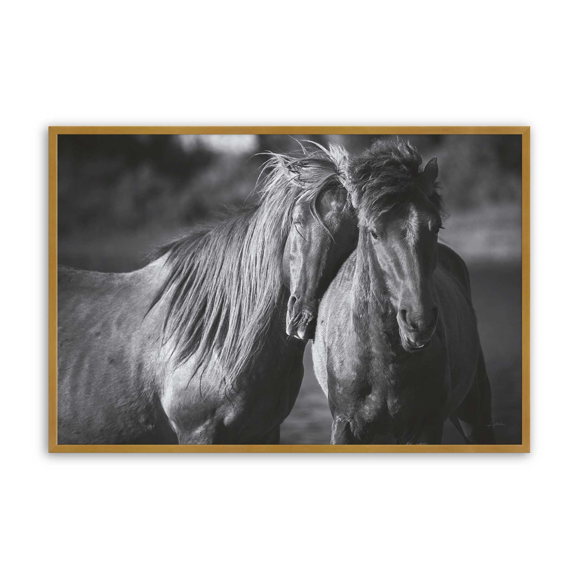 [Color:Polished Gold], Picture of art in a Polished Gold frame