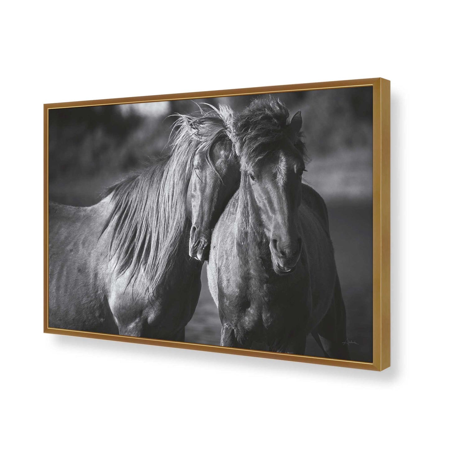 [Color:Polished Gold], Picture of art in a Polished Gold frame of the corner