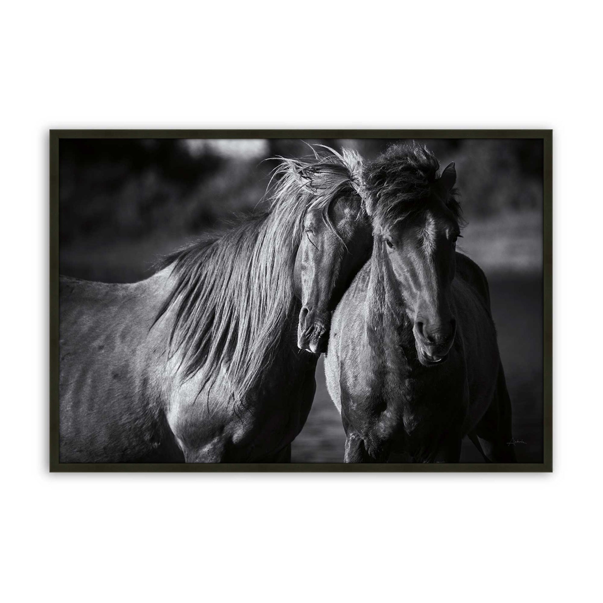 [Color:Satin Black], Front of the art