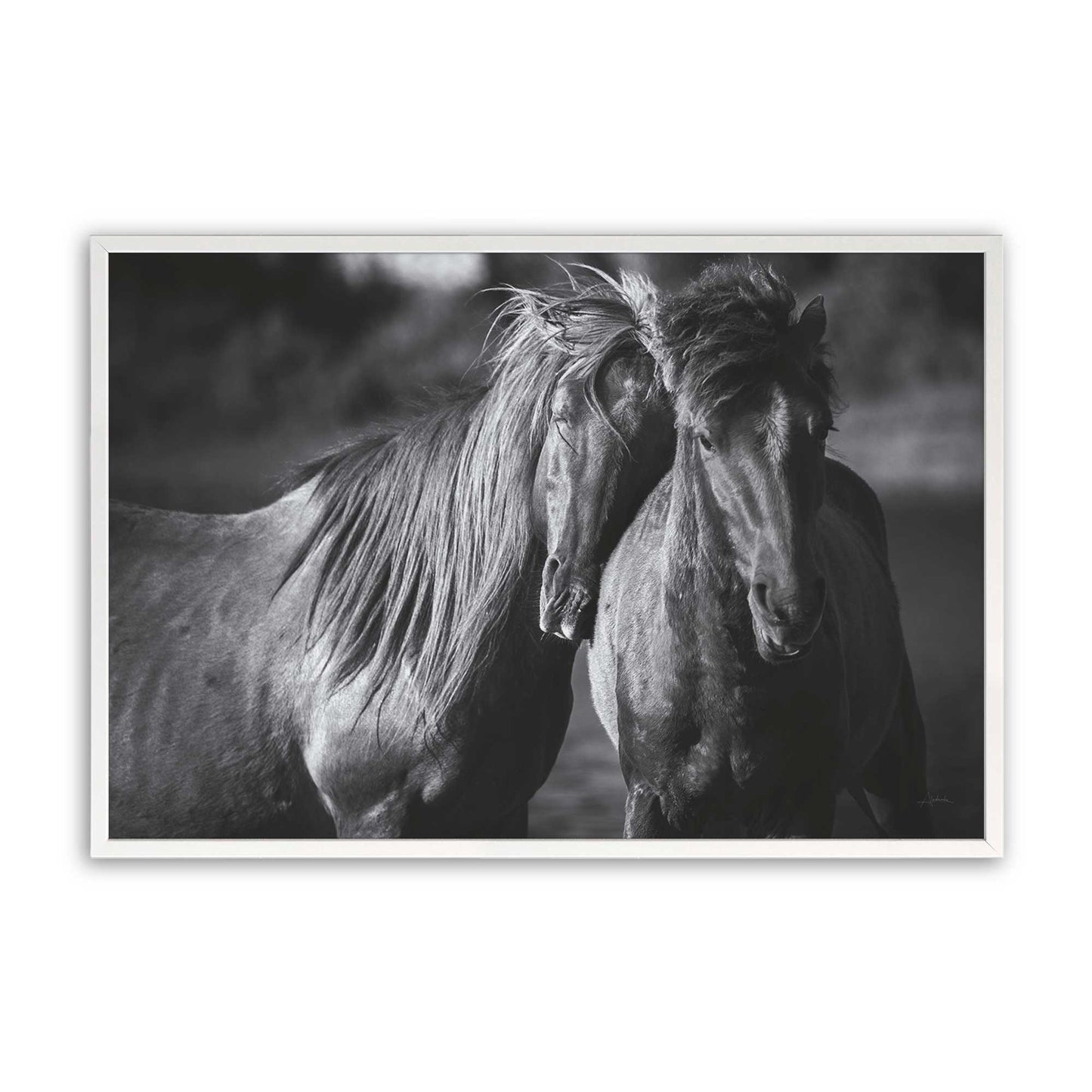 [Color:Opaque White], Picture of art in a Opaque White frame