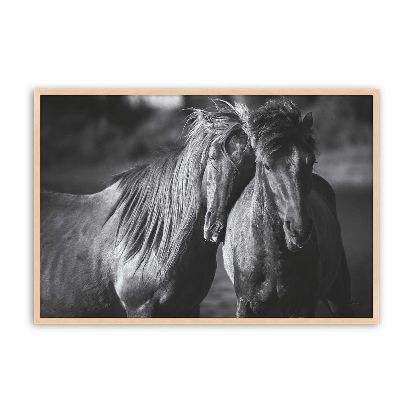 [Color:Raw Maple], Picture of art in a Raw Maple frame