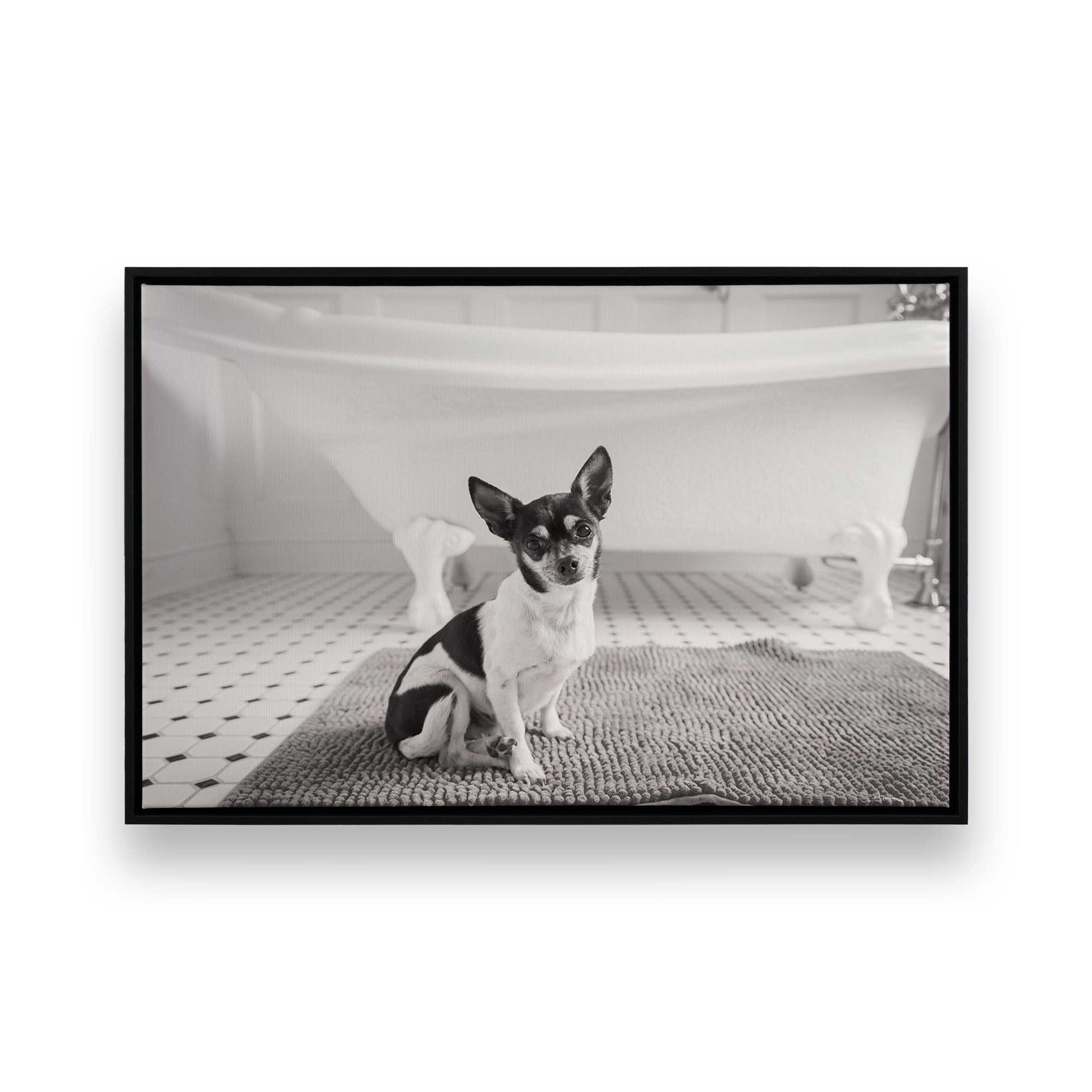 [Color:Satin Black], Picture of art in a Satin Black frame