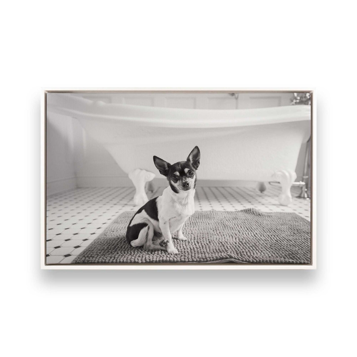 [Color:Opaque White], Picture of art in a White frame