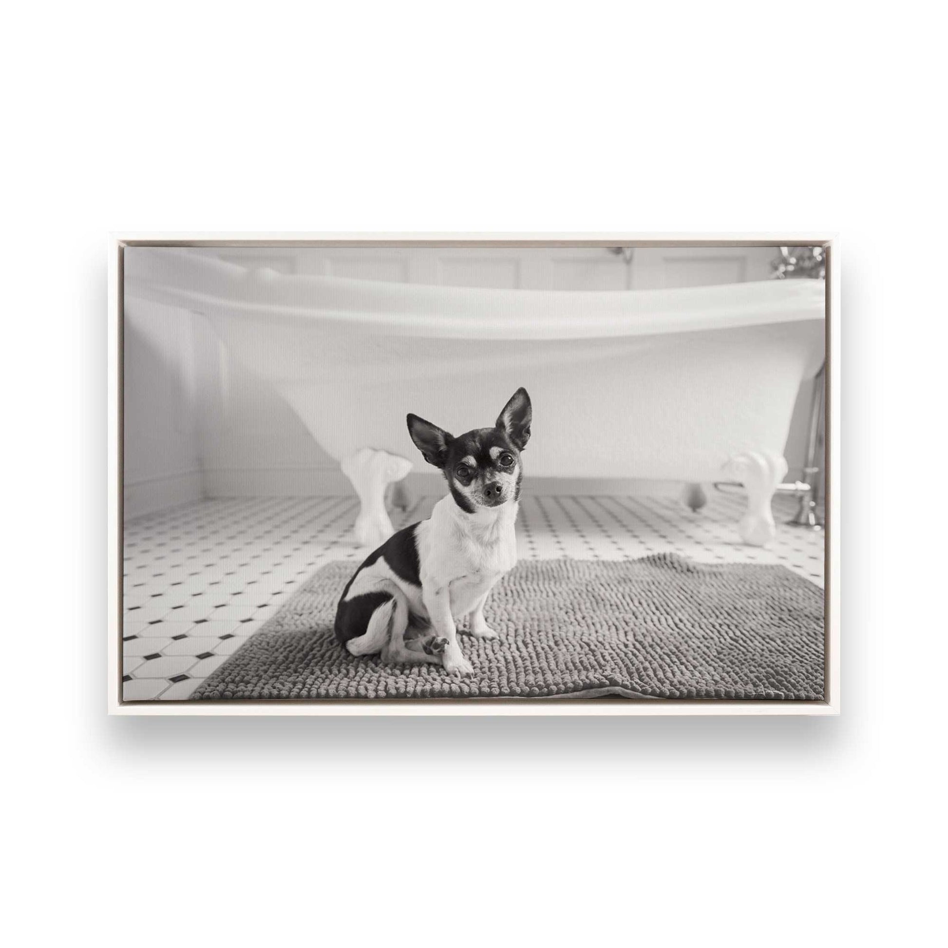 [Color:Opaque White], Picture of art in a White frame