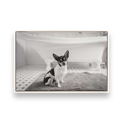 [Color:Opaque White], Picture of art in a White frame