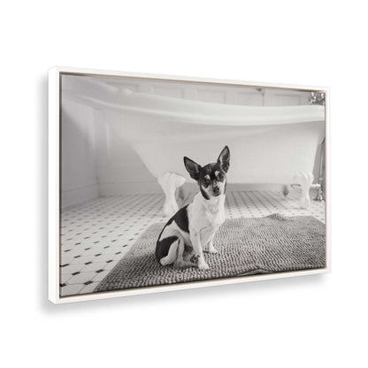 [Color:Opaque White], Picture of the corner of the art