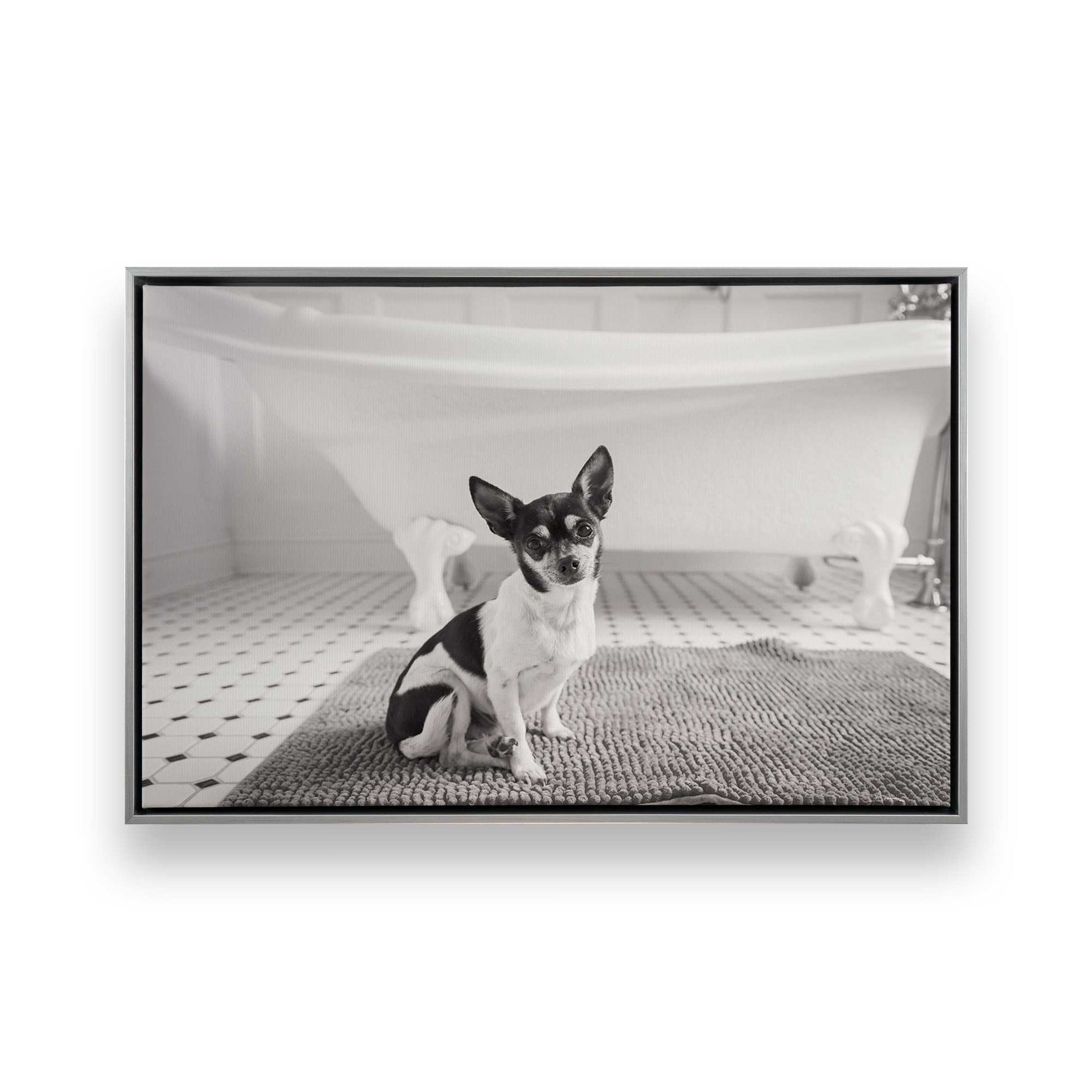 [Color:Polished Chrome], Picture of art in a Polished Chrome frame