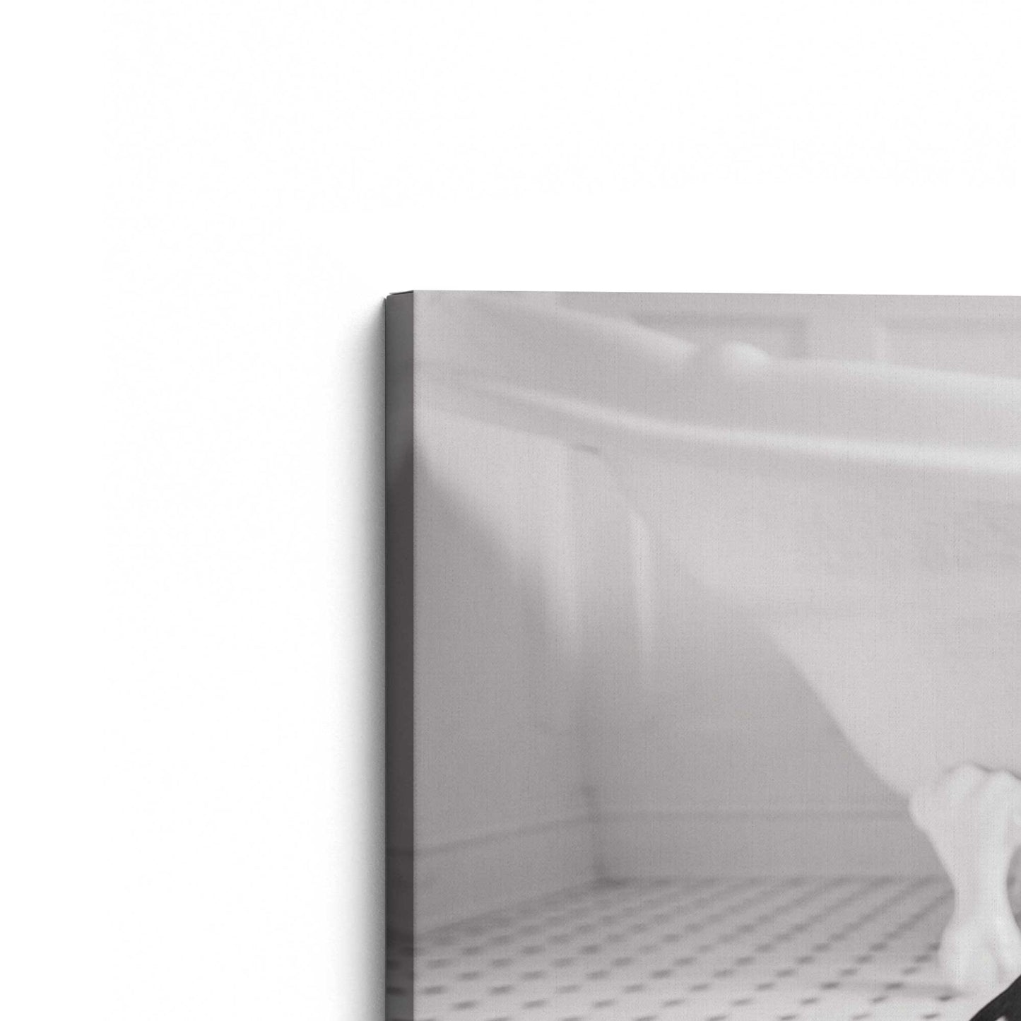 [Color:Stretched Canvas], Picture of the corner of the art