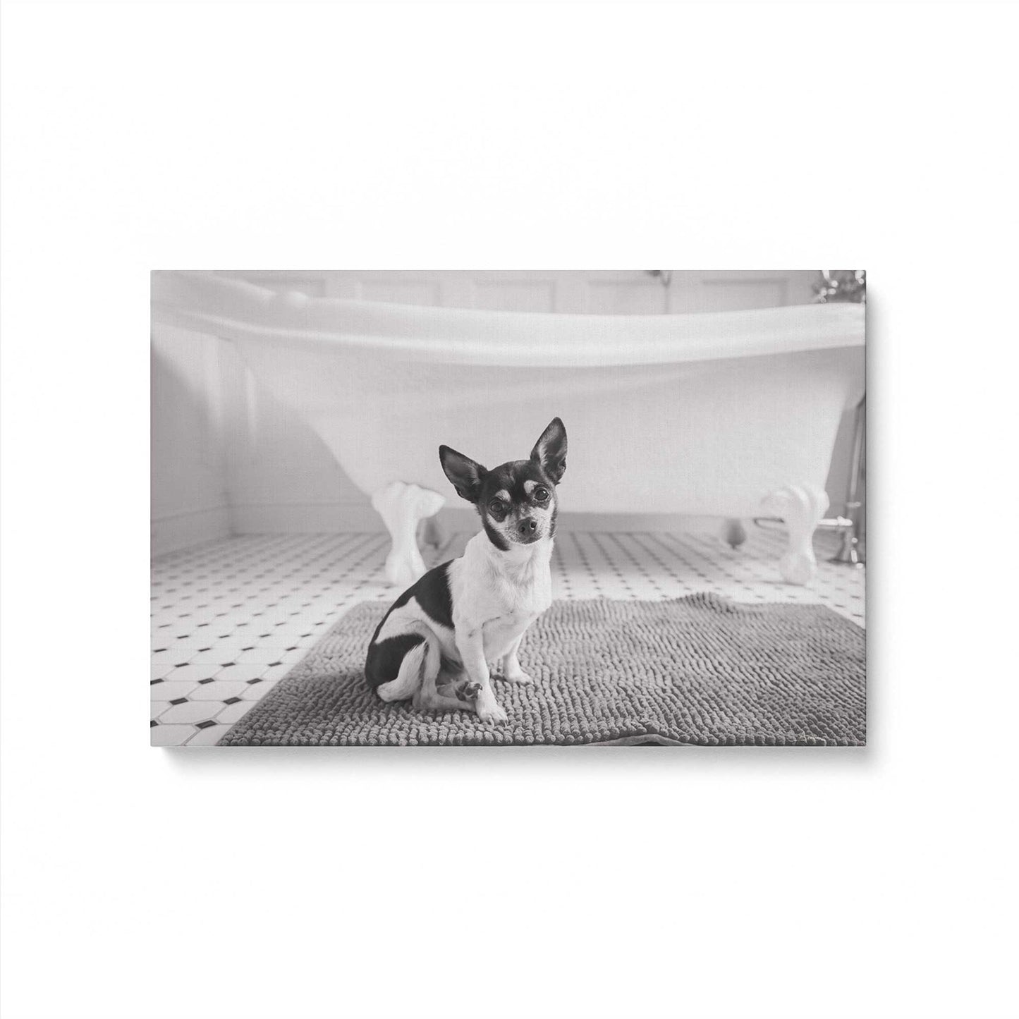 [Color:Stretched Canvas], Picture of art