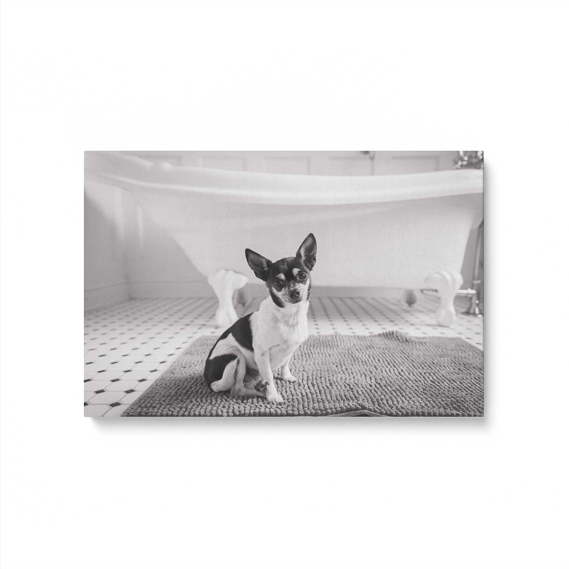 [Color:Stretched Canvas], Picture of art