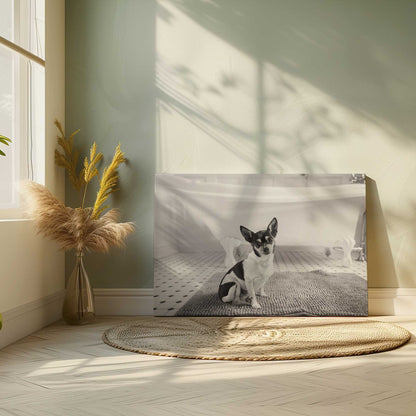 Picture of art in a room