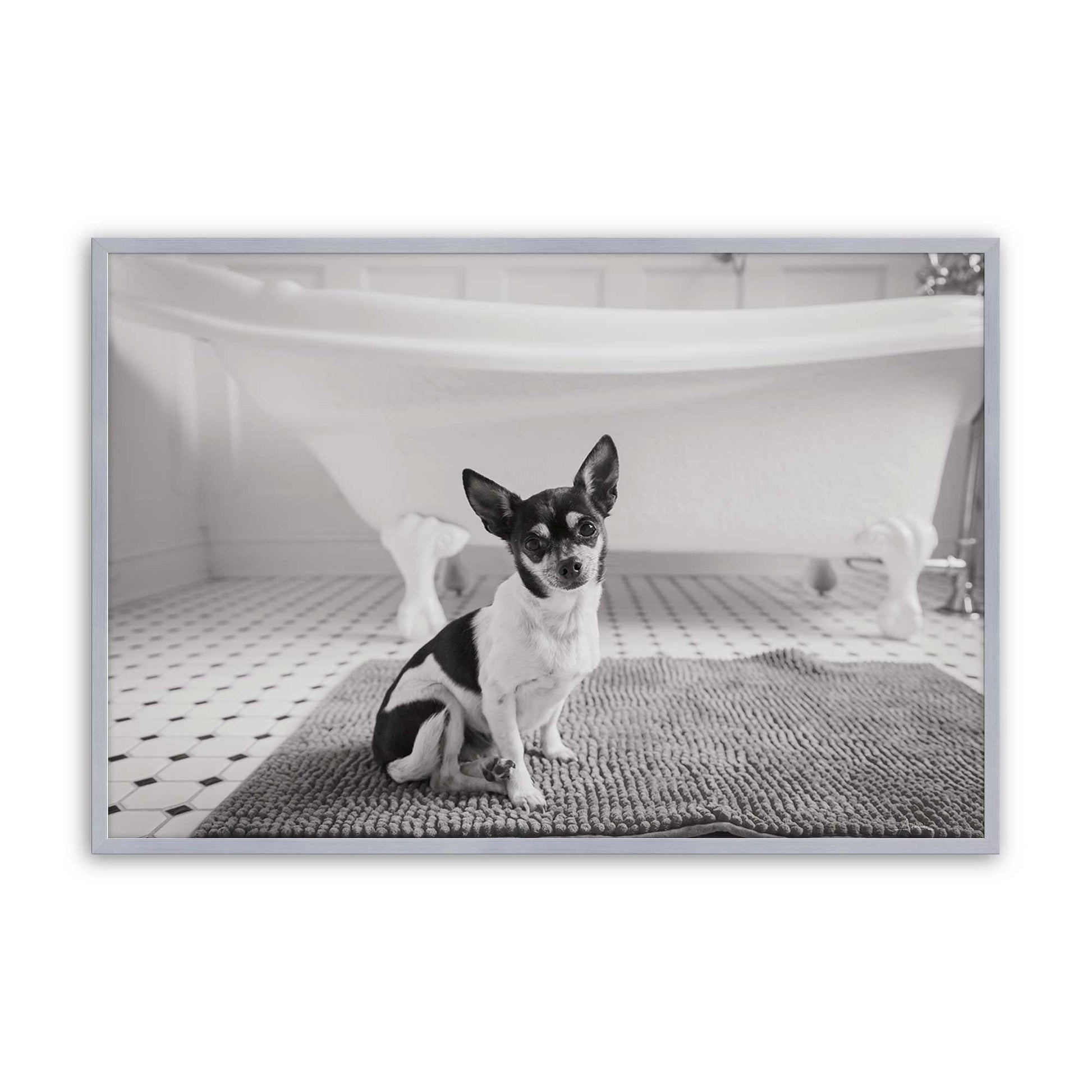 [Color:Polished Chrome], Picture of art in a Polished Chrome frame