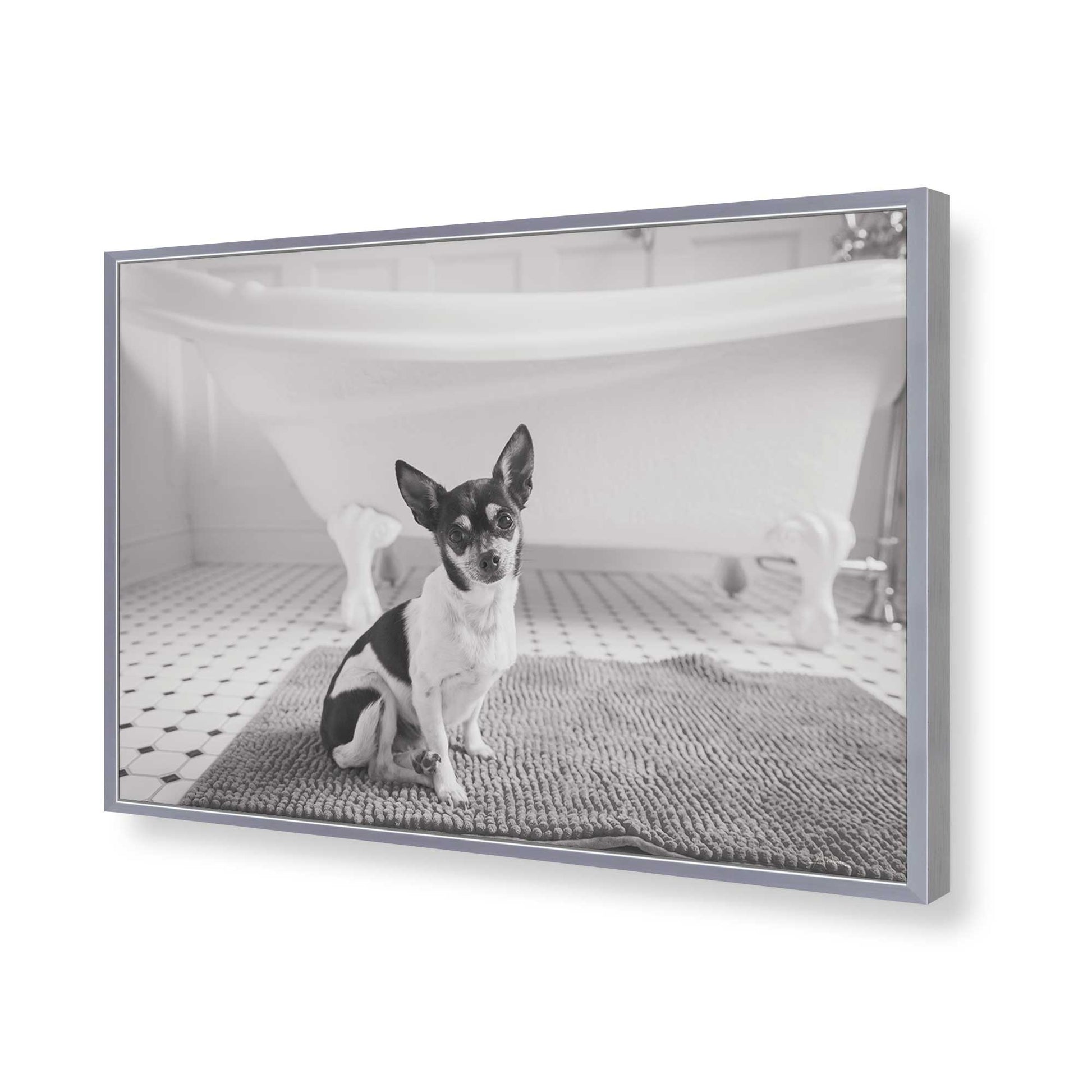 [Color:Polished Chrome], Picture of art in a Polished Chrome frame of the corner