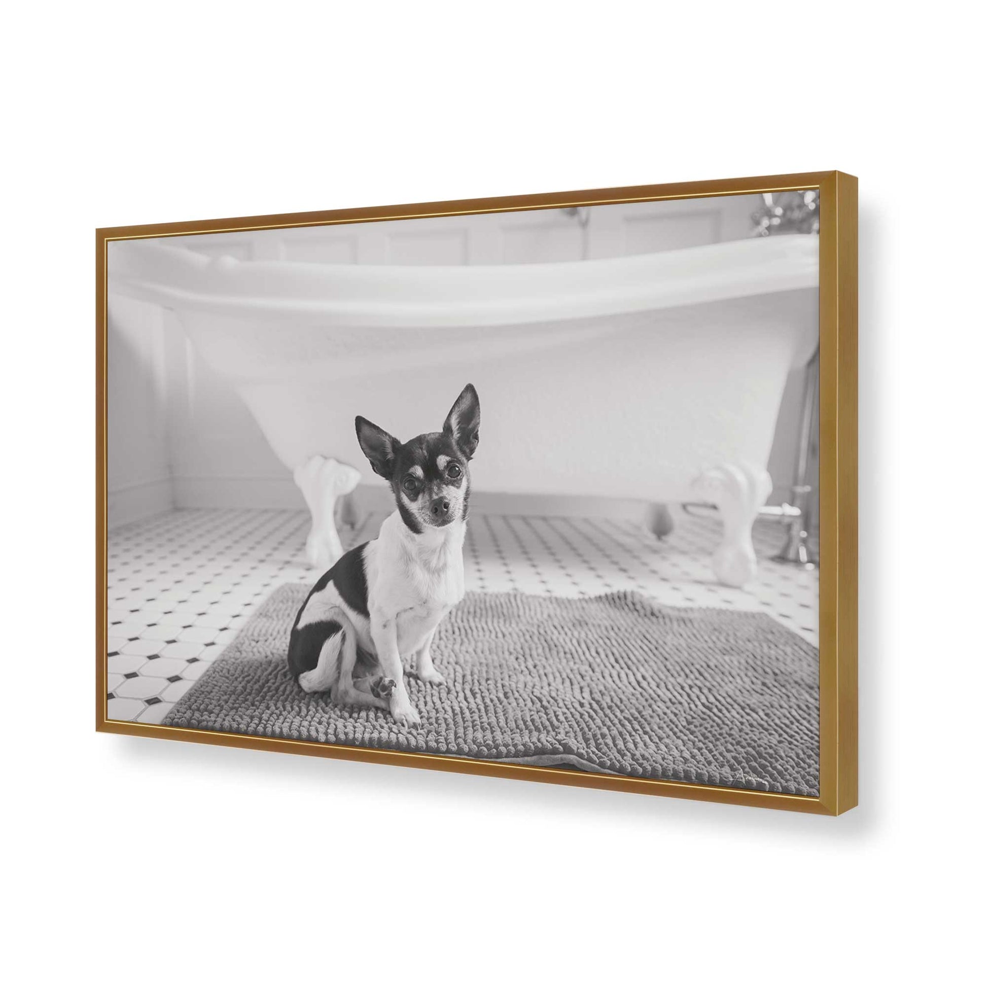 [Color:Polished Gold], Picture of art in a Polished Gold frame of the corner