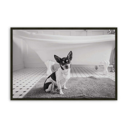 [Color:Satin Black], front image
