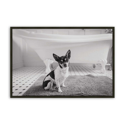 [Color:Satin Black], front image