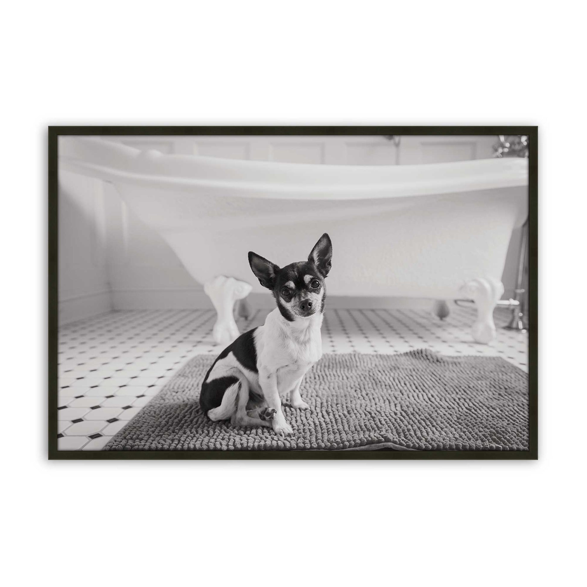 [Color:Satin Black], Picture of art in a Satin Black frame