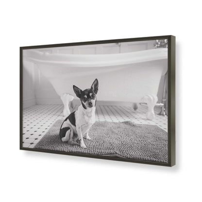 [Color:Satin Black], Picture of art in a Satin Black frame of the corner