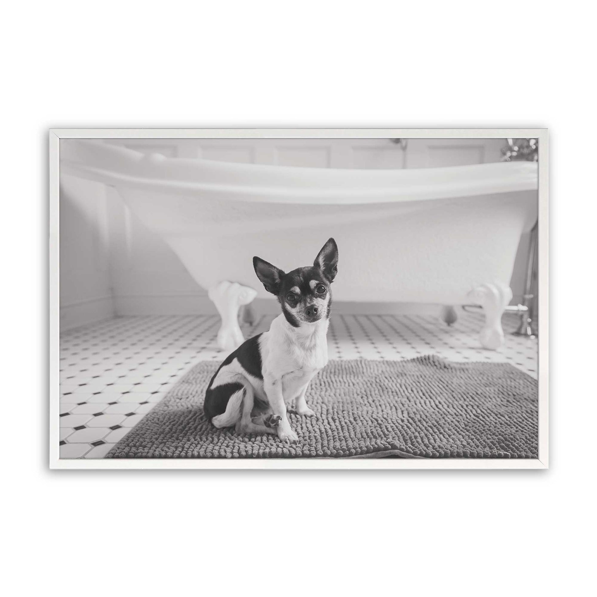 [Color:Opaque White], Picture of art in a Opaque White frame