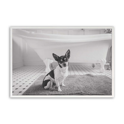 [Color:Opaque White], Picture of art in a Opaque White frame