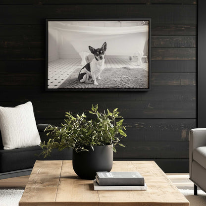 [LIFESTYLE],[SPECIAL], Art in a room