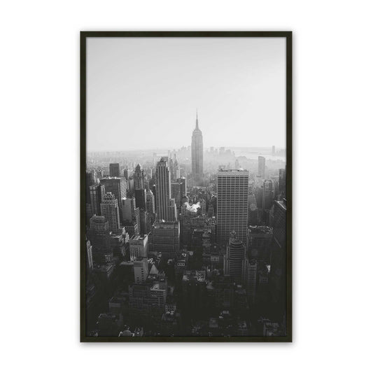 [Color:Satin Black],