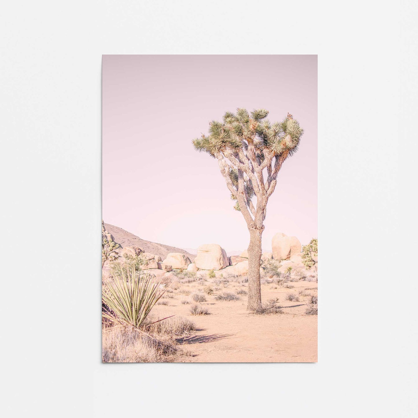 [Color:Rolled Print], Picture of close up of art
