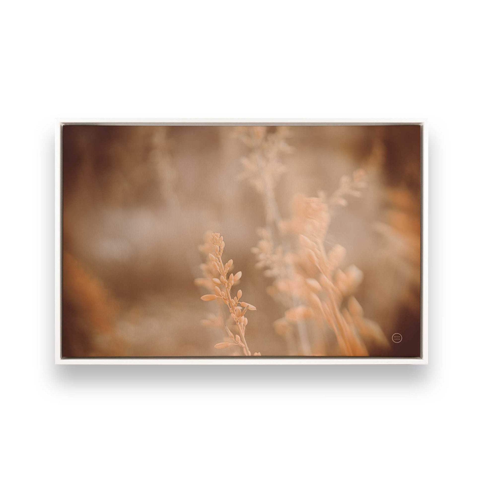 [Color:Opaque White], Picture of art in a White frame