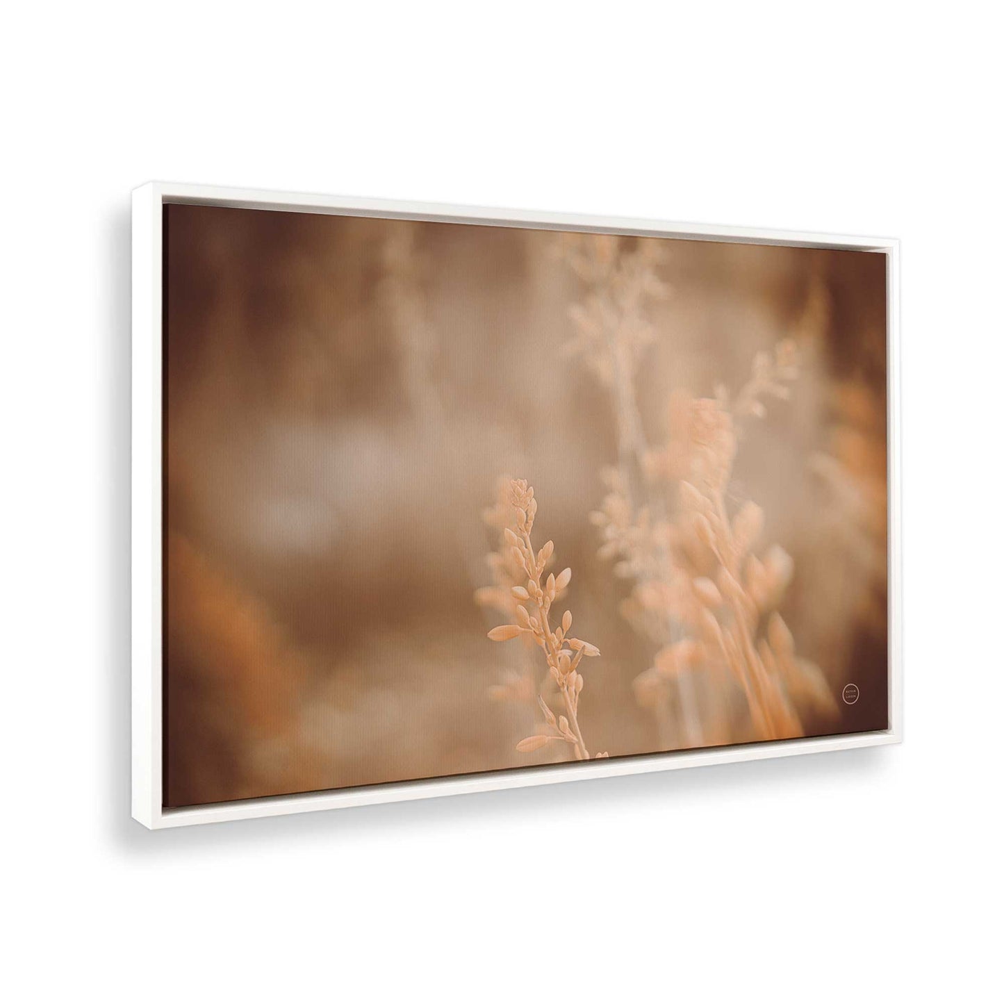 [Color:Opaque White], Picture of the corner of the art