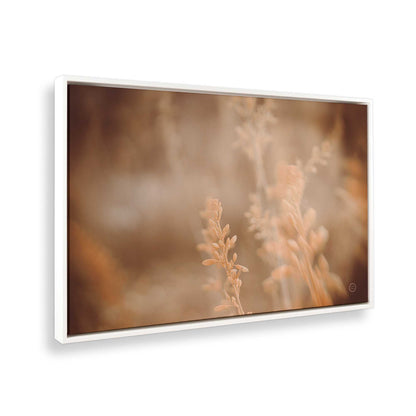 [Color:Opaque White], Picture of the corner of the art